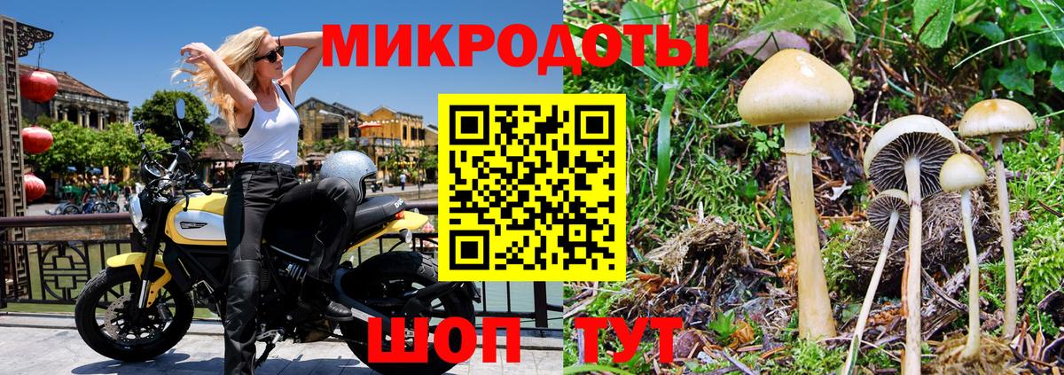Новокузнецк  Галлюциногенные грибы мицелий  Вход с VPN  Галлюциногенные грибы Psilocybe 