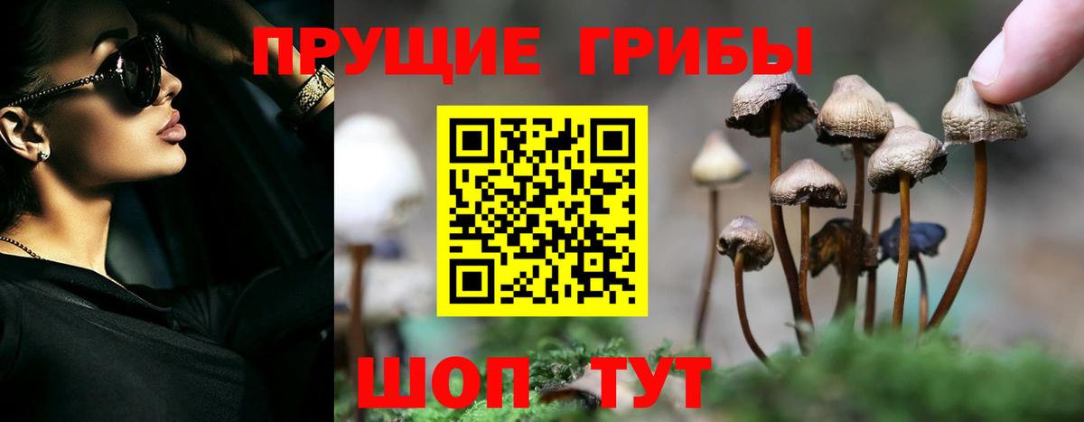 Галлюциногенные грибы мицелий Новокузнецк